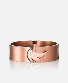 Euforia - Ascent Bangle (Brushed)